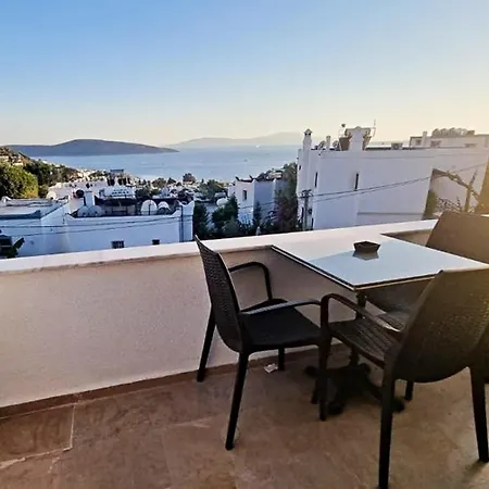 ılya 2