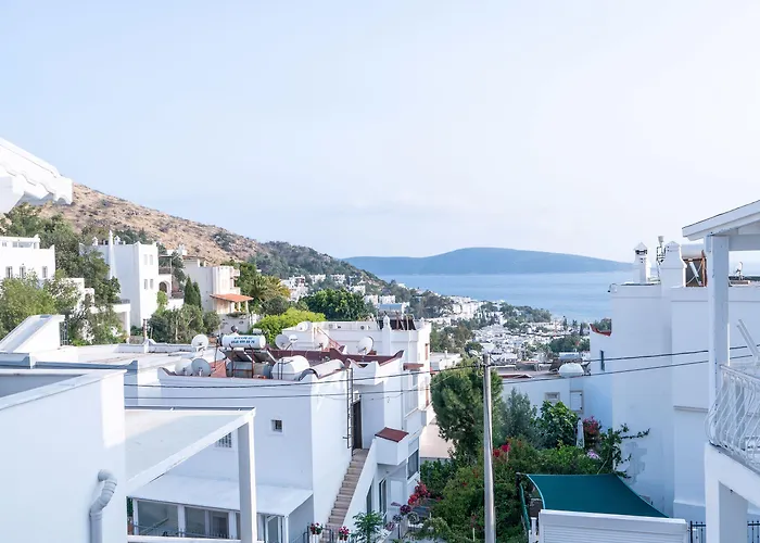 Ξενοδοχείο με διαμερίσματα Ilya 2 Αλικαρνασσός